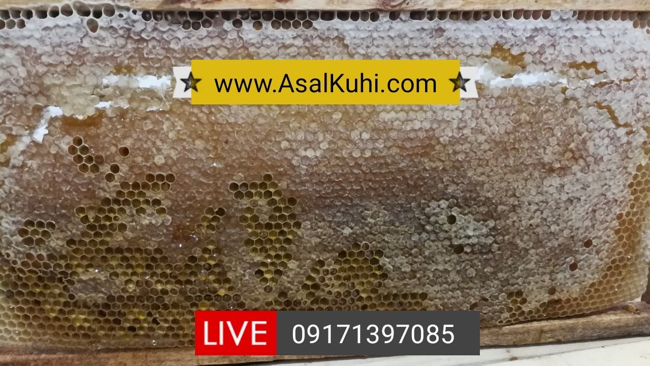 فروشگاه عسل طبیعی در شیراز